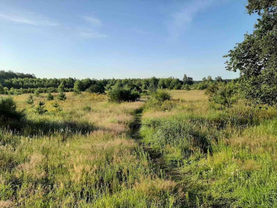 Vakantiehuis Eikzicht Gelegen Aan Het Bos Elsloo  Buitenkant foto