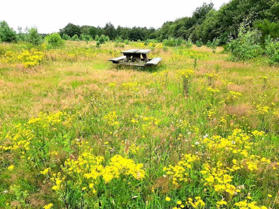 Vakantiehuis Eikzicht Gelegen Aan Het Bos Elsloo  Buitenkant foto