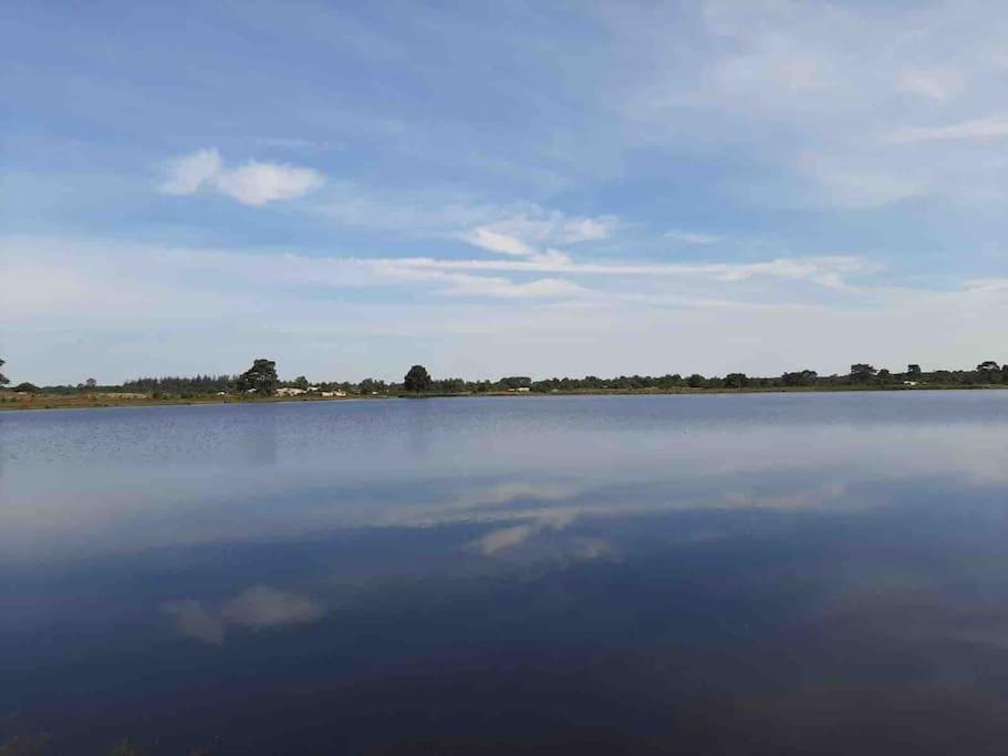 Vakantiehuis Eikzicht Gelegen Aan Het Bos Elsloo  Buitenkant foto