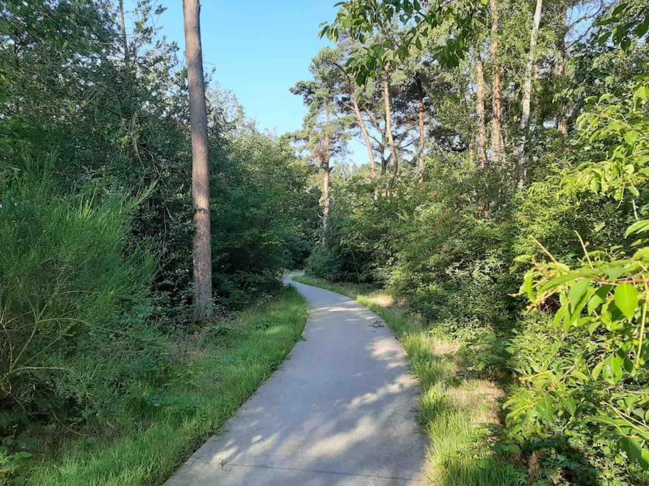 Vakantiehuis Eikzicht Gelegen Aan Het Bos Elsloo  Buitenkant foto