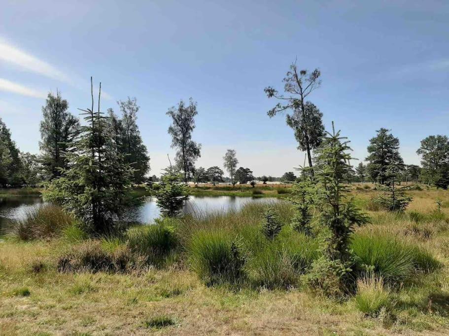Vakantiehuis Eikzicht Gelegen Aan Het Bos Elsloo  Buitenkant foto