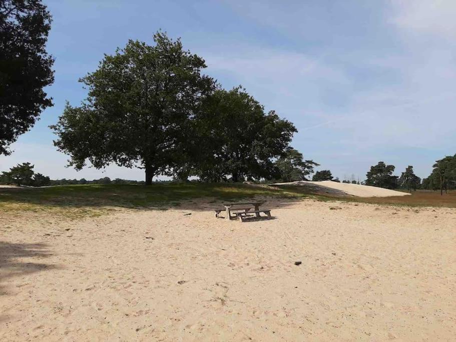 Vakantiehuis Eikzicht Gelegen Aan Het Bos Elsloo  Buitenkant foto