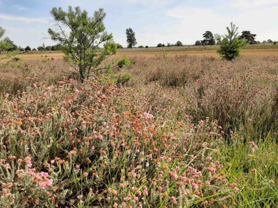 Vakantiehuis Eikzicht Gelegen Aan Het Bos Elsloo  Buitenkant foto