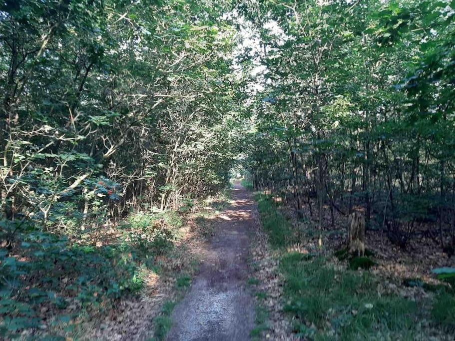 Vakantiehuis Eikzicht Gelegen Aan Het Bos Elsloo  Buitenkant foto