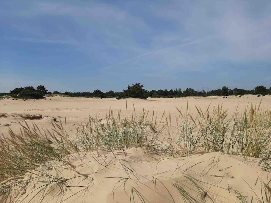 Vakantiehuis Eikzicht Gelegen Aan Het Bos Elsloo  Buitenkant foto