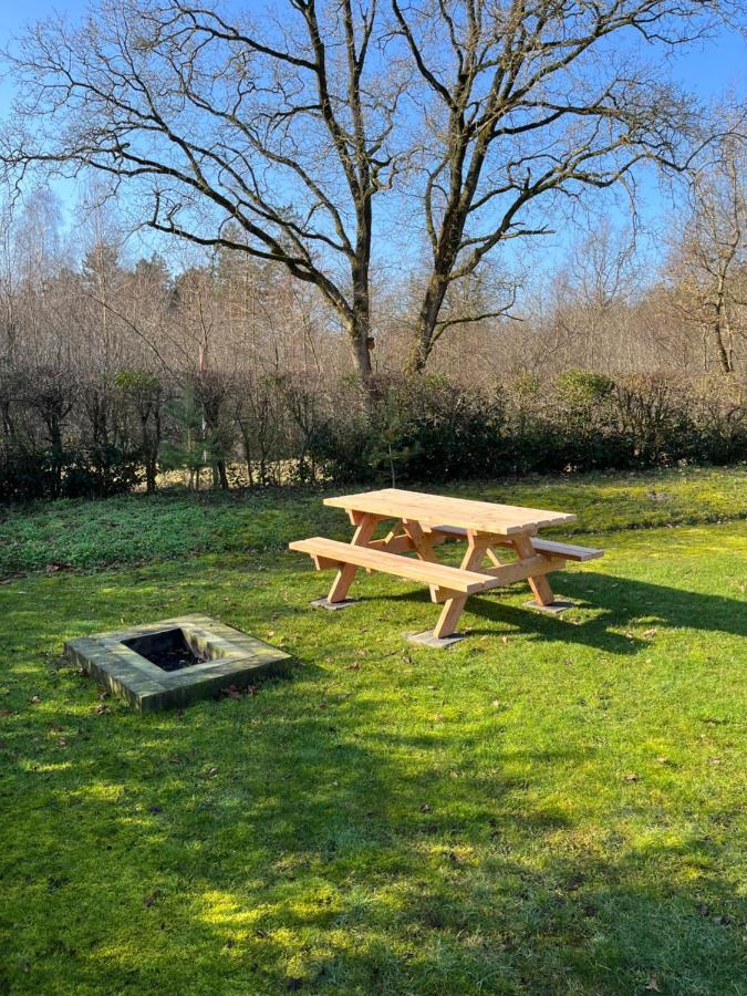 Vakantiehuis Eikzicht Gelegen Aan Het Bos Elsloo  Buitenkant foto